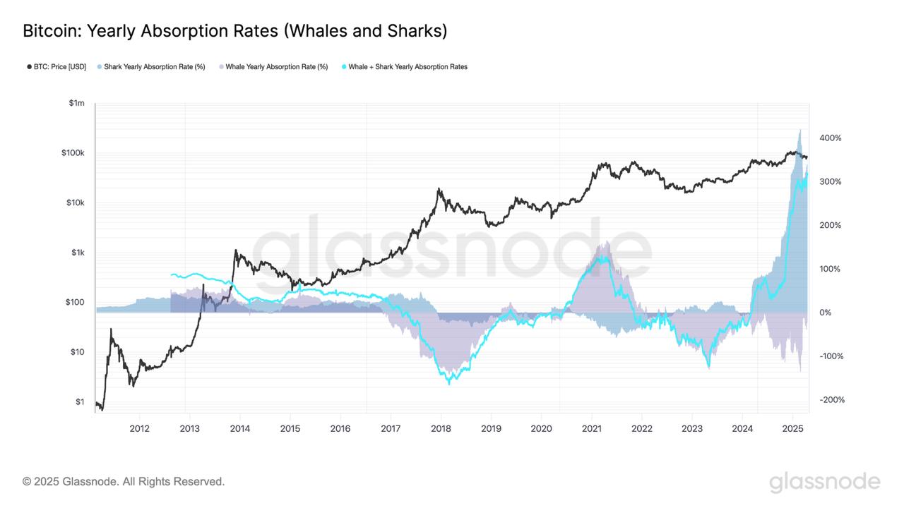 Bitcoin whales absorb 300% of newly mined BTC supply — Is $100K next?